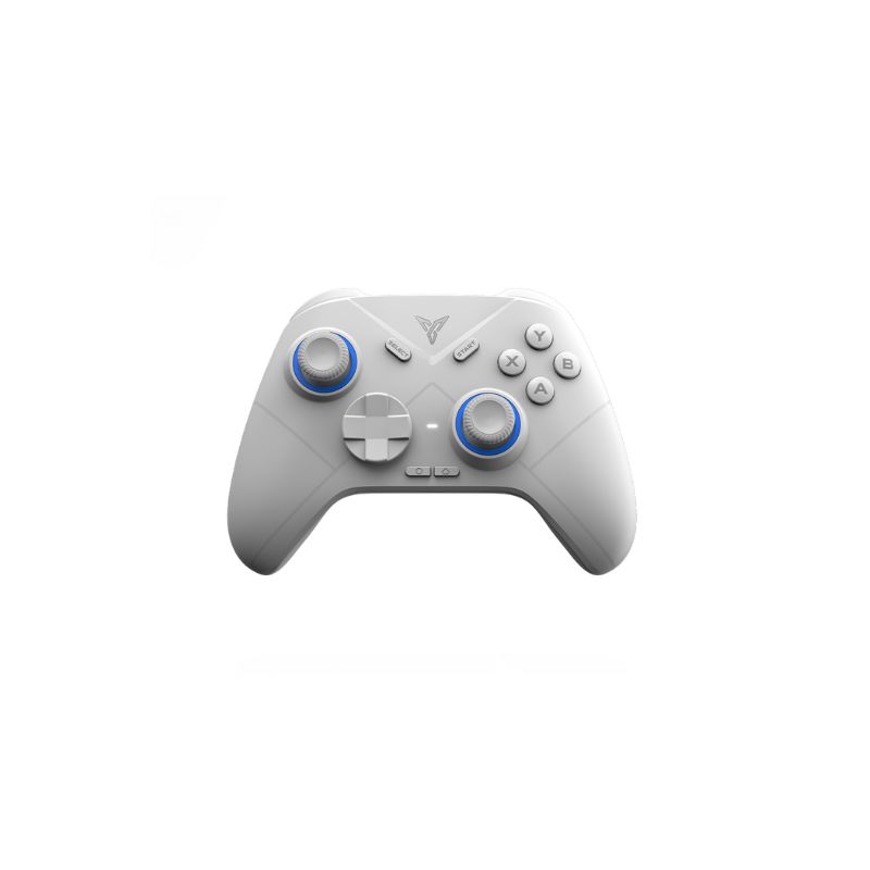 FLYDIGI Direwolf 2 Controller