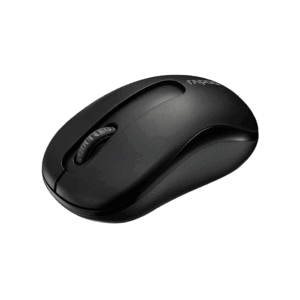 Rapoo M10 Plus Wireless Optical Mouse