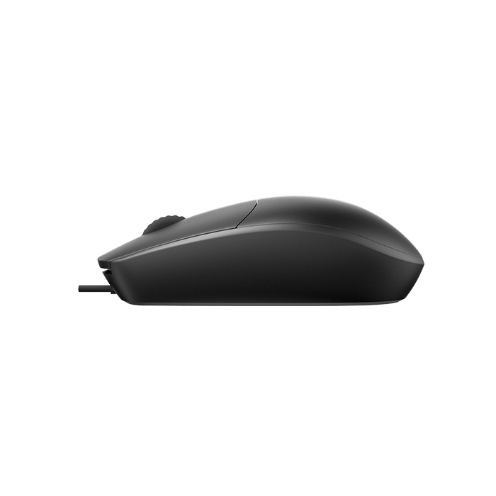 Rapoo N100 Wired Optical Mouse | Type - C