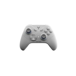FLYDIGI Direwolf 3